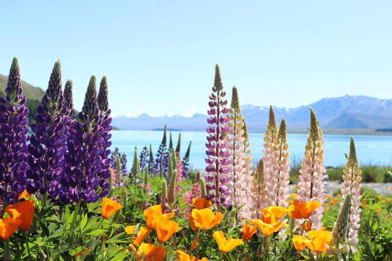 Mt Sefton Villa Lake Tekapo Luaran gambar